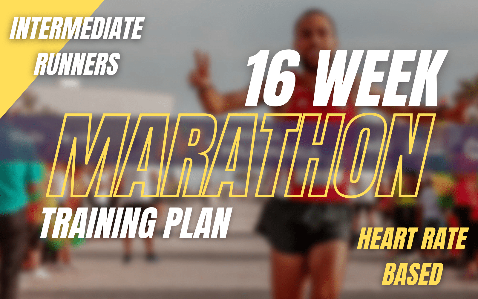 16 week marathon plan: intermediate HR